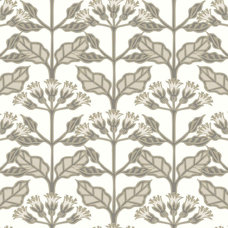 Wallpaper Tracery Blooms Wallpaper Sample // White 8 x 10 