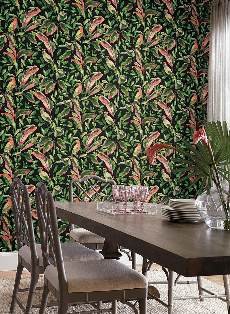 Wallpaper Tropical Love Birds Wallpaper // Black 