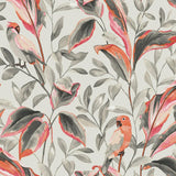 Wallpaper Tropical Love Birds Wallpaper // Grey 