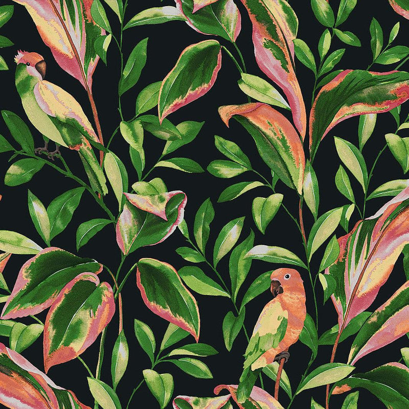 Wallpaper Tropical Love Birds Wallpaper Sample // Black 8 x 10 