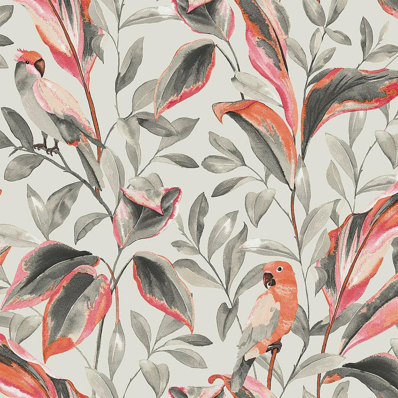 Wallpaper Tropical Love Birds Wallpaper Sample // Grey 8 x 10 