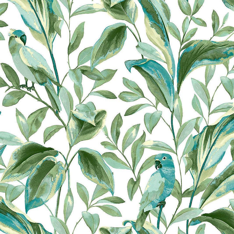 Wallpaper Tropical Love Birds Wallpaper Sample // White & Aqua 8 x 10 