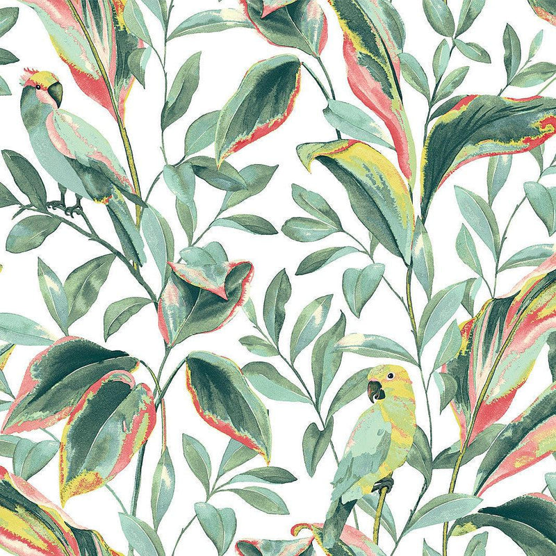 Wallpaper Tropical Love Birds Wallpaper // White & Coral 