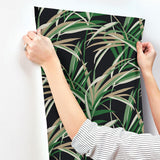 Wallpaper Tropical Paradise Wallpaper // Green & Black 