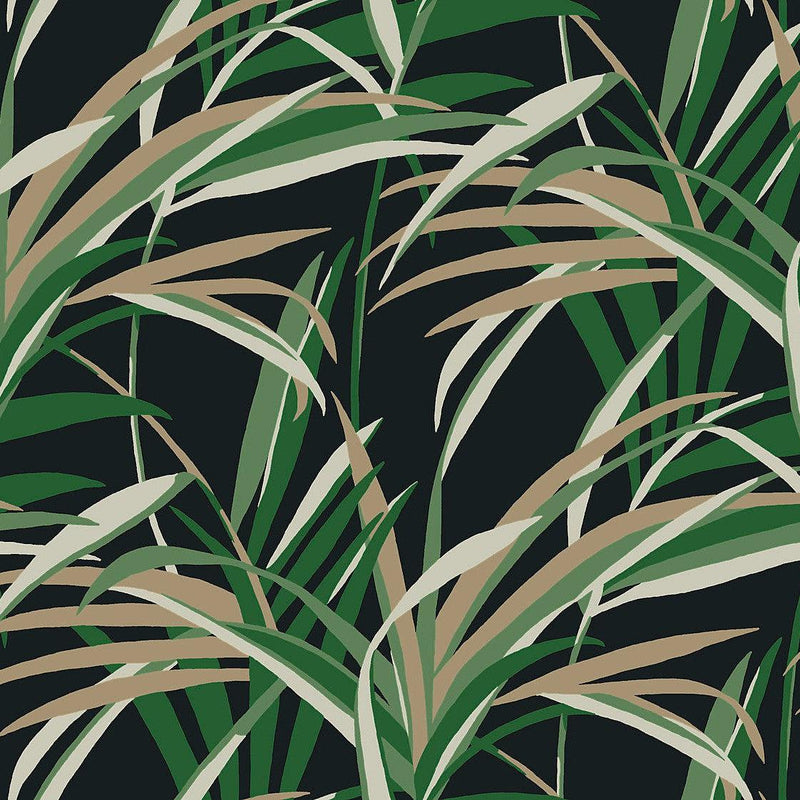 Wallpaper Tropical Paradise Wallpaper Sample // Green & Black 8 x 10 