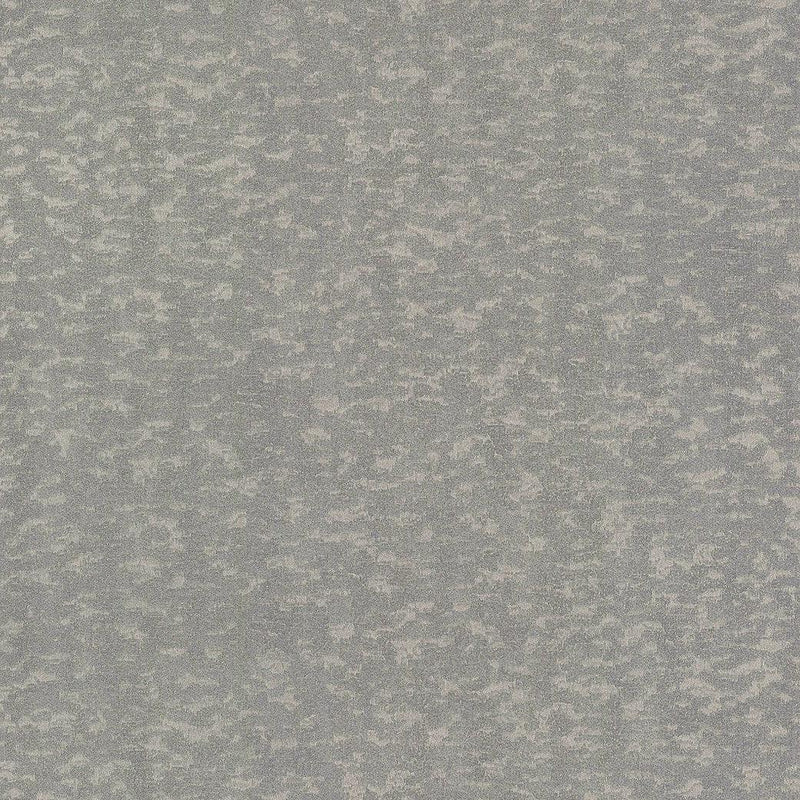 Wallpaper Weathered Cypress Wallpaper Sample // Blue 8 x 10 