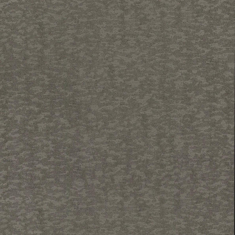 Wallpaper Weathered Cypress Wallpaper Sample // Silver 8 x 10 
