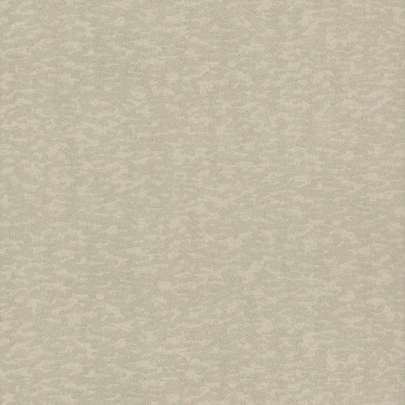 Wallpaper Weathered Cypress Wallpaper Sample // Taupe 8 x 10 