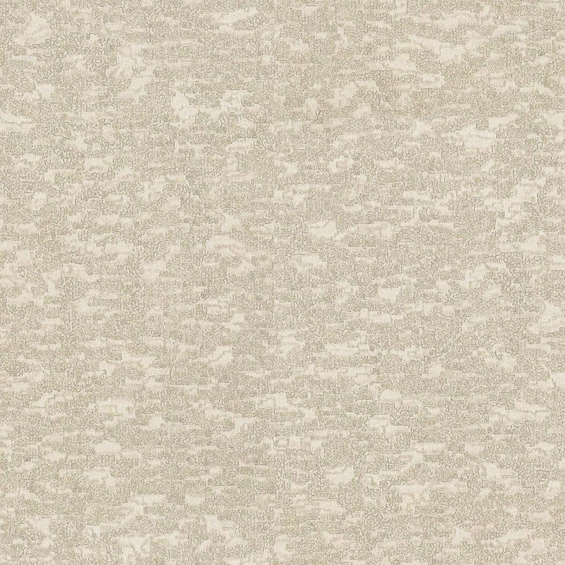Wallpaper Weathered Cypress Wallpaper Sample // White 8 x 10 