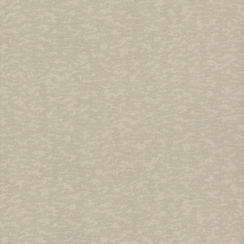 Wallpaper Weathered Cypress Wallpaper // Taupe 