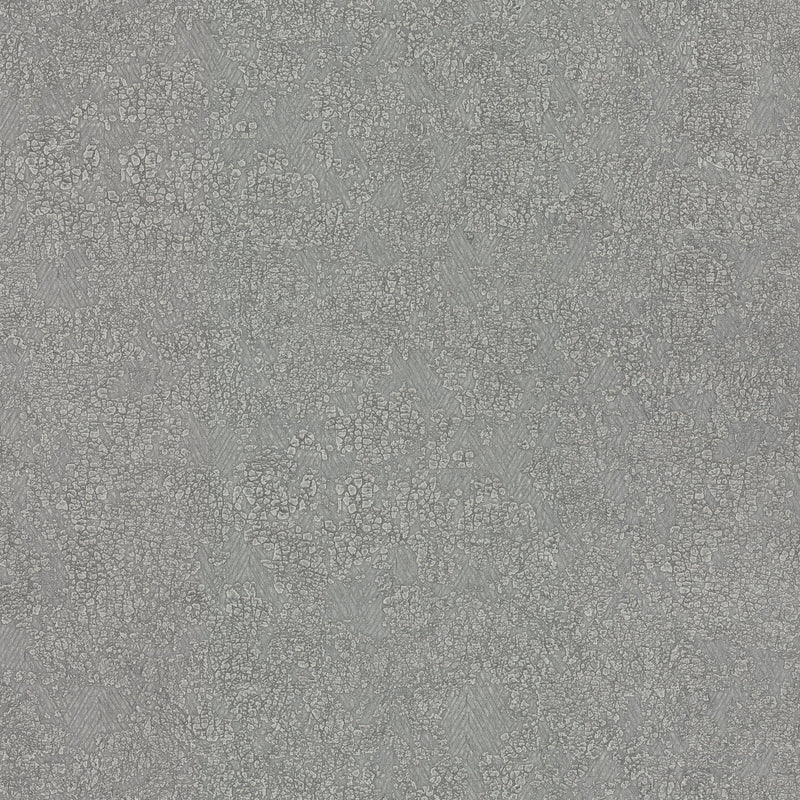 Wallpaper Weathered Wallpaper // Dark Grey 