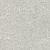 Wallpaper Weathered Wallpaper // Light Grey 