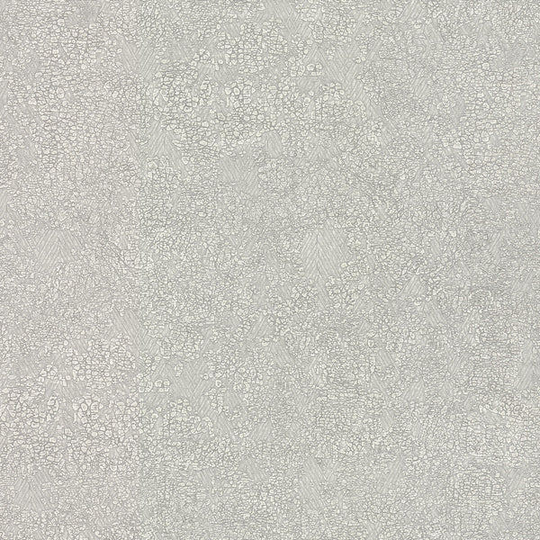 Wallpaper Weathered Wallpaper // Light Grey 