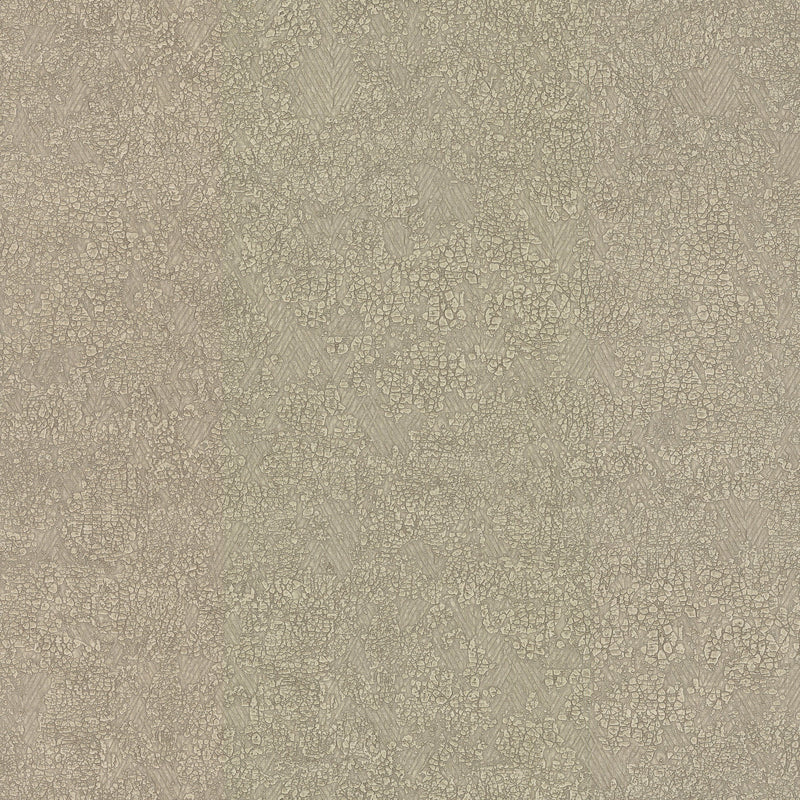 Wallpaper Weathered Wallpaper Sample // Beige 8 x 10 
