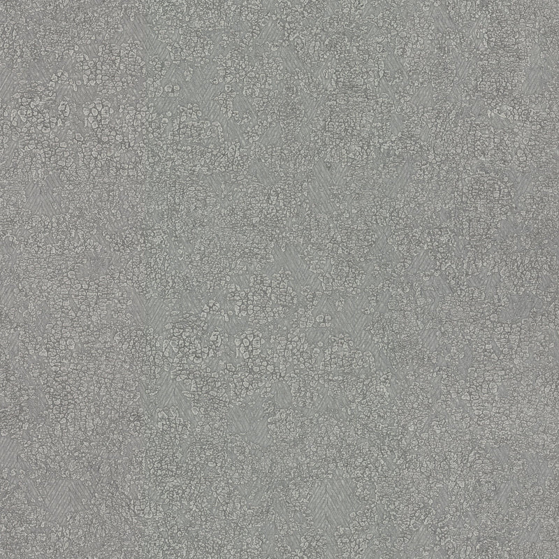 Wallpaper Weathered Wallpaper Sample // Dark Grey 8 x 10 