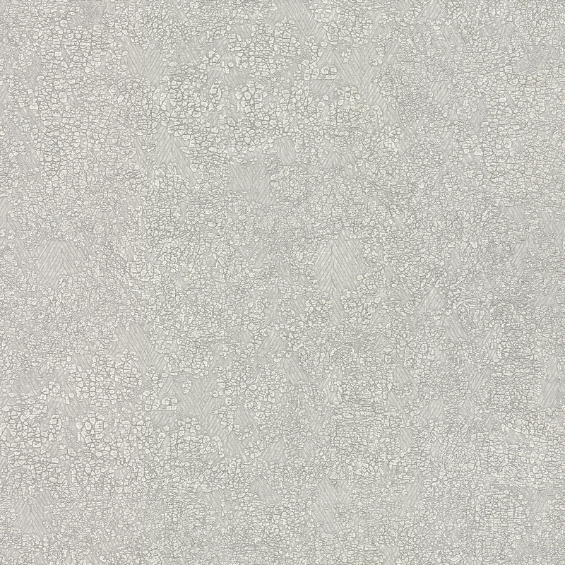Wallpaper Weathered Wallpaper Sample // Light Grey 8 x 10 