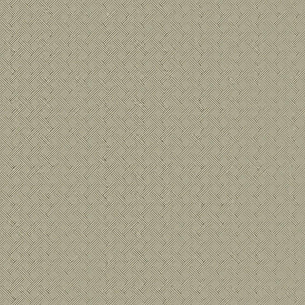 Wallpaper Wickwork Wallpaper // Fog Transit 