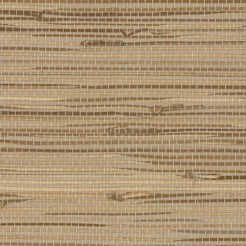 Wallpaper Wide Knotted Grass Wallpaper Sample // Beige 8 x 10 