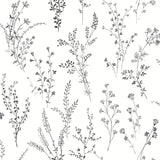 Wallpaper Wildflower Sprigs Wallpaper // Black & White 