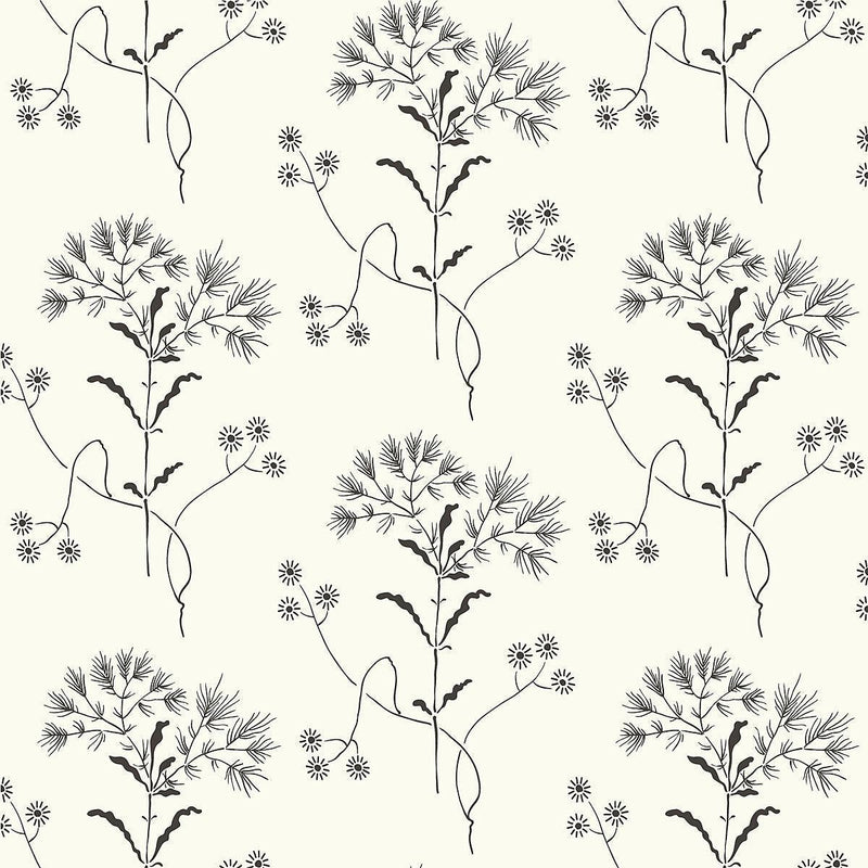 Wallpaper Wildflower Wallpaper // Black & White 