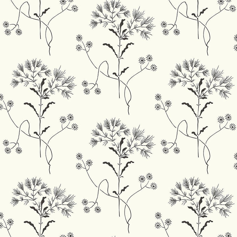Wallpaper Wildflower Wallpaper Sample // Black & White 8 x 10 