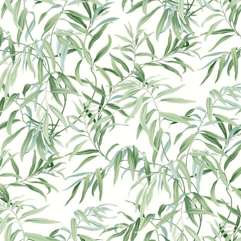 Wallpaper Willow Grove Wallpaper // Forest 