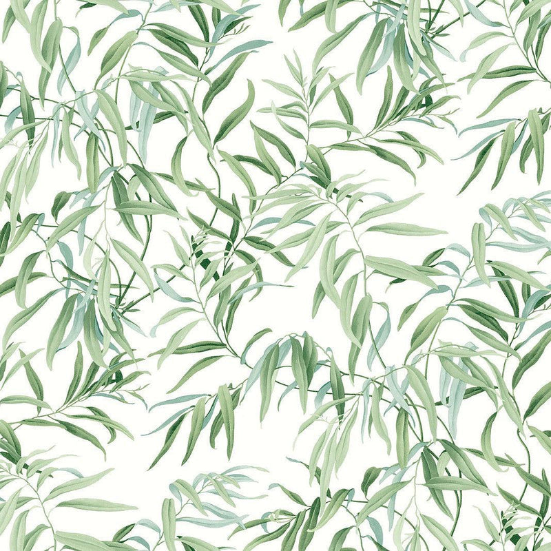 Wallpaper Willow Grove Wallpaper Sample // Forest 8 x 10 
