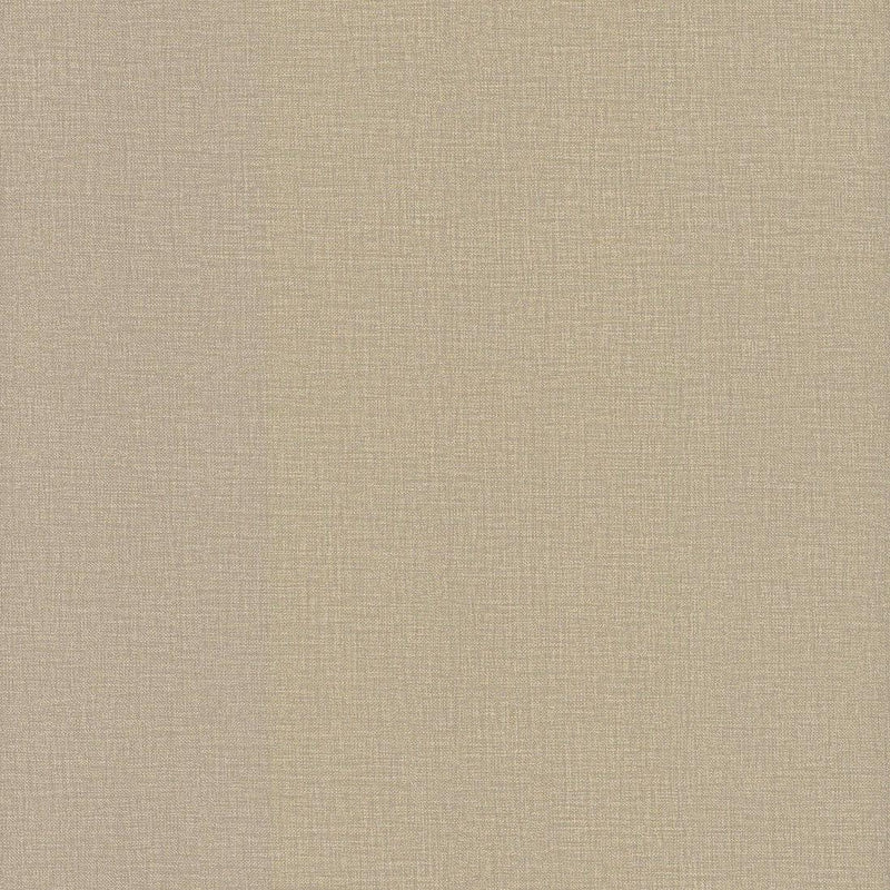 Wallpaper Wire Cloth Wallpaper Sample // Beige 8 x 10 