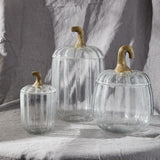  Translucent Pumpkin Terrarium 