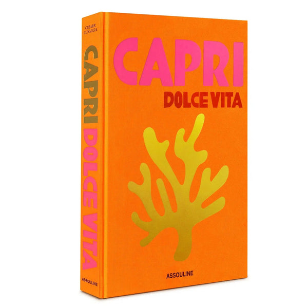 Coffee Table Books Capri Dolce Vita Coffee Table Book 