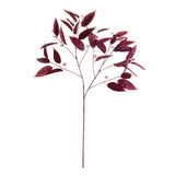 Home Accents Eucalyptus Seed Branch 36.5" 