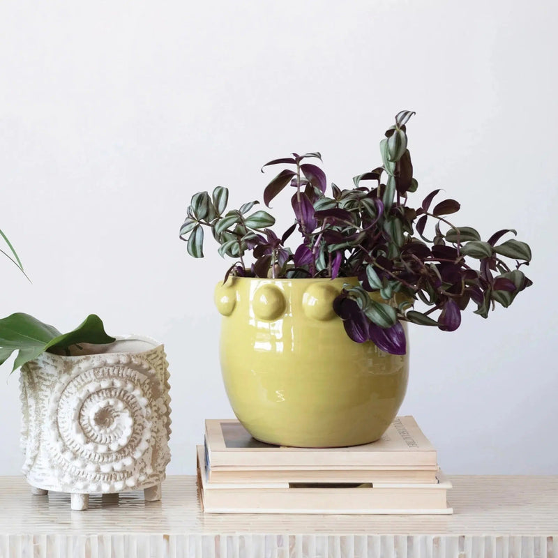 large vases for indoor plants Large Fem Rosa Hobnail Pot // Chartreuse